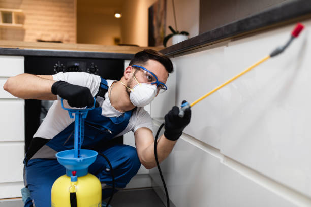 Best Affordable Pest Control Services  in La Habra, CA