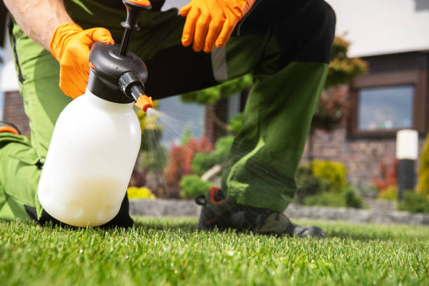 Best Termite Control Services  in La Habra, CA