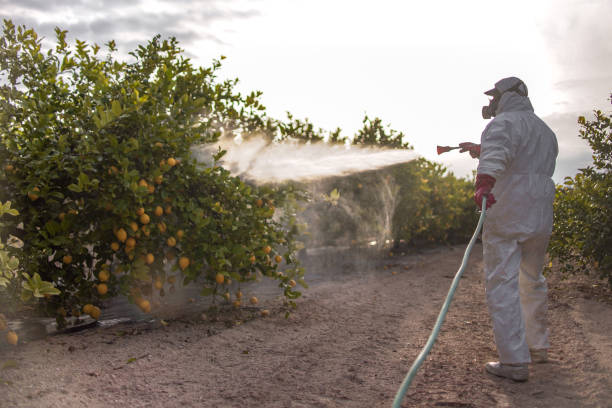 Trusted La Habra, CA Pest Control Experts