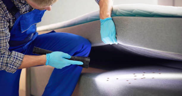 Best Pest Control Near Me  in La Habra, CA