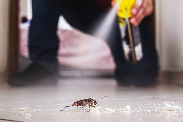 Best Flea Control Services  in La Habra, CA