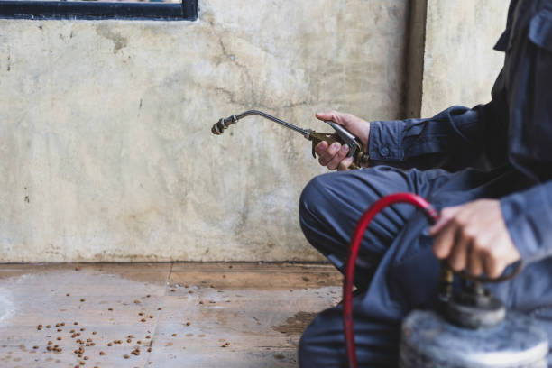 Best Exterminator Services  in La Habra, CA